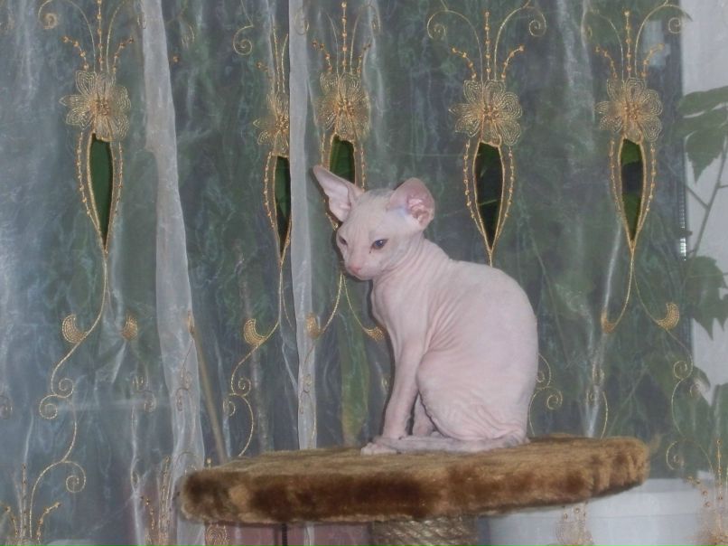 Алексей Чуркин фотография #42