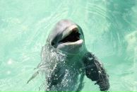 Фотография Соколовой Александры