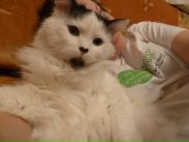 Фотография Капустиной Ольги