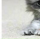 Емілія Мовчан фотография #23 (источник - https://vk.com/id89589512)