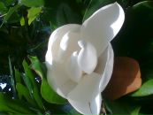 Данило Ваврів фотография #19 (источник - https://vk.com/id66788009)