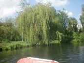 Ірочка Зима фотография #34 (источник - https://vk.com/id83067374)