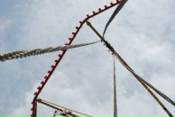 Фотография Krivtsova Maria