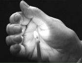 Фотография Толораи Георгия