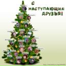 Фотография Шарай Евгении