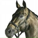 Аліна Козяр фотография #49 (источник - https://vk.com/id136411003)