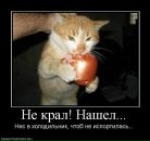 Фотография Каменских Александра