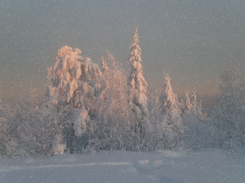 Сергей Каримов фотография #8