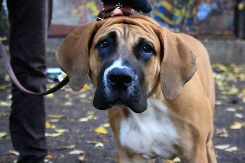 Анна Банч фотография #35