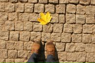 Фотография Буровой Маши