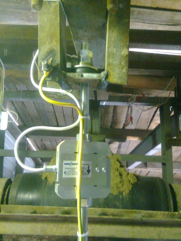 Дмитрий Кунаков фотография #15