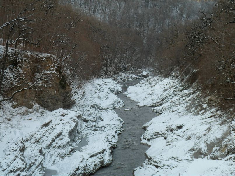 Александр Шестаков фотография #43