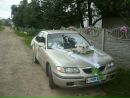 Андріана Канюка фотография #36 (источник - https://vk.com/id139039629)