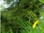 Максим Лісовський фотография #31 (источник - https://vk.com/id92939231)