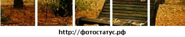 Ботька Біленький фотография #24 (источник - https://vk.com/id80161724)