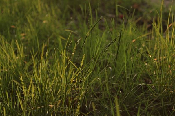 Елена Евсюкова фото №44