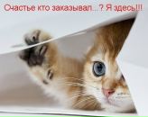 Фотография Гришиной Анастасии