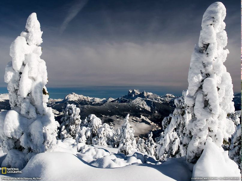 Софья Лисицына фотография #22