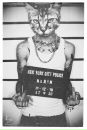 Макс Арт фотография #30 (источник - https://vk.com/id2012411)
