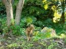 Саша Прінько фотография #42 (источник - https://vk.com/id133559002)
