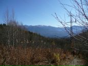 Татьяна Добрая фотография #9 (источник - https://vk.com/id71172041)