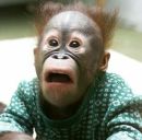 Фотография Конанова Андрея