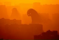 Антон Целищев фотография #27 (источник - https://vk.com/id2984289)