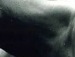 Дімон Балог фотография #20 (источник - https://vk.com/id138342503)