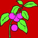 Світлана Паскевич фотография #34 (источник - https://vk.com/id68130122)