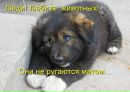 Андрій Фещин фотография #32 (источник - https://vk.com/id135517484)