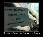 Фотография Alexandrovich Sergey