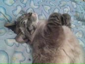 Фотография Марковой Ирины