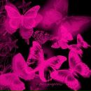 Галя Лаврів фотография #20 (источник - https://vk.com/id223715906)