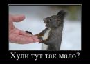 Діма Засуха фотография #37 (источник - https://vk.com/id90303501)