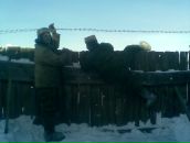 Фотография Лозицкая Дарья