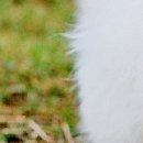 Ірина Мисюк фотография #46 (источник - https://vk.com/id105920111)