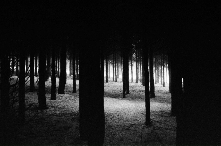 Максим Бурденко фото №35