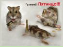 Віталій Корецький фотография #23 (источник - https://vk.com/id148640310)