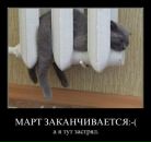 Олена Вітюк фотография #41 (источник - https://vk.com/id39099082)