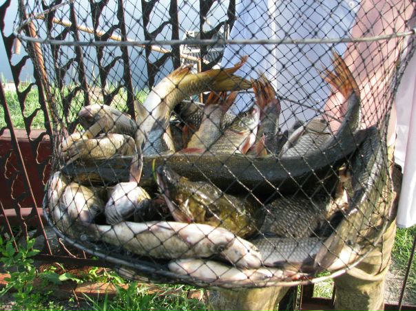 Игорь Дужик фото №3