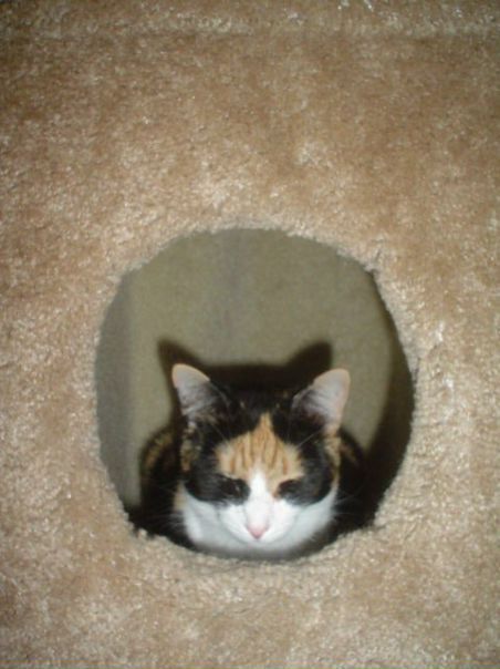 Igor Tarasov фото №38