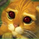 Фотография Ананко Романа