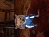 Надя Іщак фотография #33 (источник - https://vk.com/id76429397)