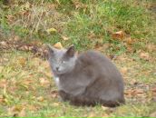 Фотография Чайкиной Юлии