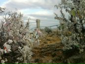 Міша Корчевський фотография #42 (источник - https://vk.com/id161256258)