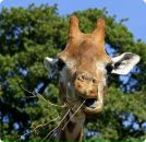 Фотография Дружининой Юлии