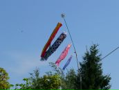 Фотография Горбункова Станислава