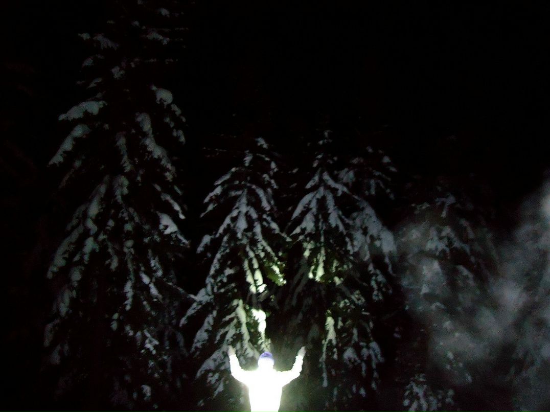 Missing Thing фотография #42