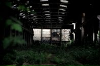 Алесь Рубцоў фотография #38 (источник - https://vk.com/id13463721)