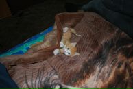 Андрей Рыбкин фотография #34 (источник - https://vk.com/id2490301)